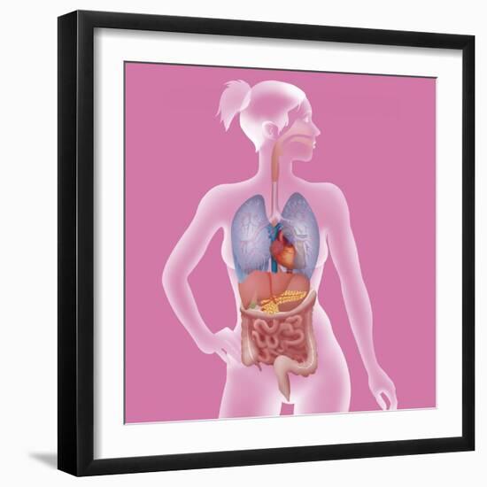 Anatomy, Trunk-Caroline Arquevaux-Framed Giclee Print