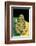 Anaxyrus Debilis (Green Toad)-Paul Starosta-Framed Photographic Print