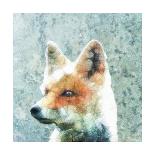 Abstract Fox-Ancello-Mounted Art Print
