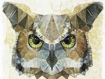 Abstract Owl-Ancello-Framed Art Print