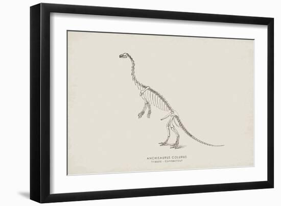 Anchisaurus-The Vintage Collection-Framed Giclee Print
