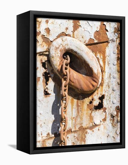 Anchor chain of the Dias, a wreck in Grytviken. Grytviken Whaling Station-Martin Zwick-Framed Premier Image Canvas