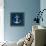 Anchor on Blue Wood-Lanie Loreth-Framed Stretched Canvas displayed on a wall