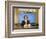 Anchorman: The Legend of Ron Burgundy-null-Framed Photo