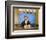 Anchorman: The Legend of Ron Burgundy-null-Framed Photo