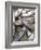 Anchovies-Gustavo Andrade-Framed Photographic Print