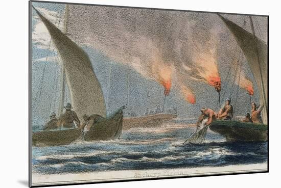 Anchovy Fishing, C1845-Robert Kent Thomas-Mounted Giclee Print