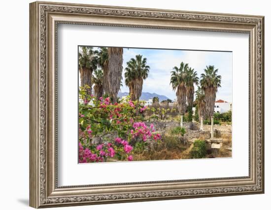 Ancient Agora, Bougainvillea and palm trees, Greek, Roman and Byzantine ruins, Kos Town, Kos, Dodec-Eleanor Scriven-Framed Photographic Print