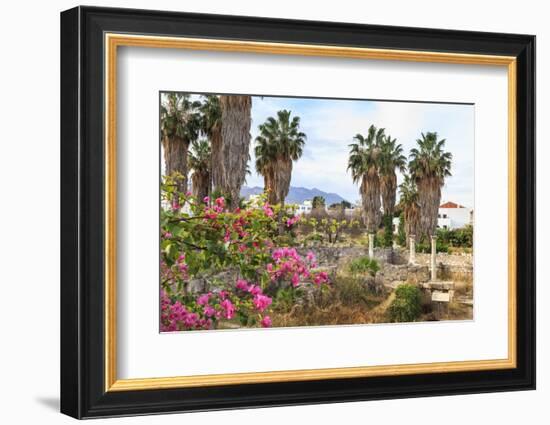 Ancient Agora, Bougainvillea and palm trees, Greek, Roman and Byzantine ruins, Kos Town, Kos, Dodec-Eleanor Scriven-Framed Photographic Print