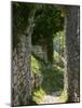Ancient Archway, Stari, Bar, Montenegro-Walter Bibikow-Mounted Photographic Print