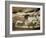 Ancient Artwork on the Walls of the Cave at Lascaux-null-Framed Photographic Print