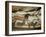 Ancient Artwork on the Walls of the Cave at Lascaux-null-Framed Photographic Print