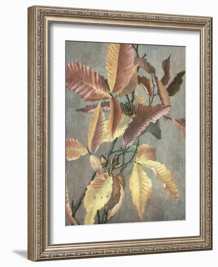 Ancient Autumn I-Steve Hunziker-Framed Art Print