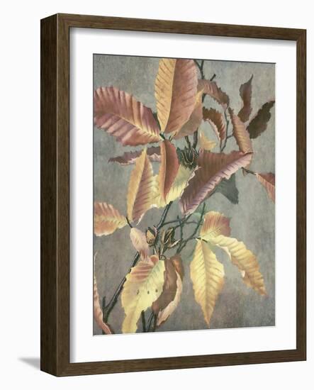 Ancient Autumn I-Steve Hunziker-Framed Art Print