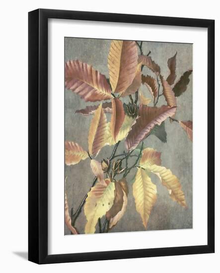 Ancient Autumn I-Steve Hunziker-Framed Art Print