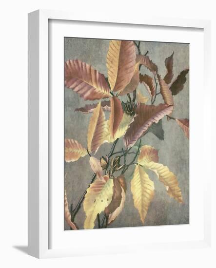 Ancient Autumn I-Steve Hunziker-Framed Art Print