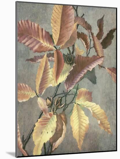 Ancient Autumn I-Steve Hunziker-Mounted Art Print