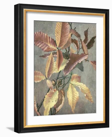 Ancient Autumn I-Steve Hunziker-Framed Art Print