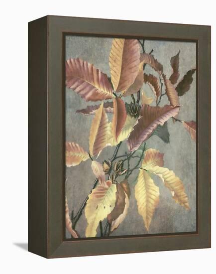 Ancient Autumn I-Steve Hunziker-Framed Stretched Canvas