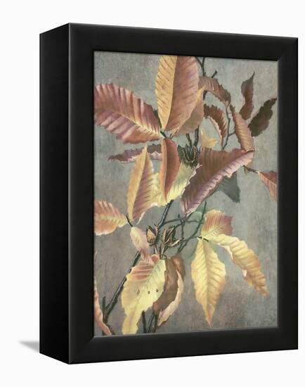 Ancient Autumn I-Steve Hunziker-Framed Stretched Canvas