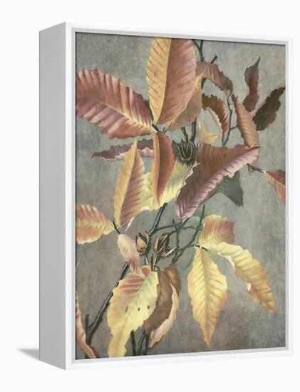 Ancient Autumn I-Steve Hunziker-Framed Stretched Canvas