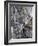 Ancient Bark-Doug Chinnery-Framed Photographic Print