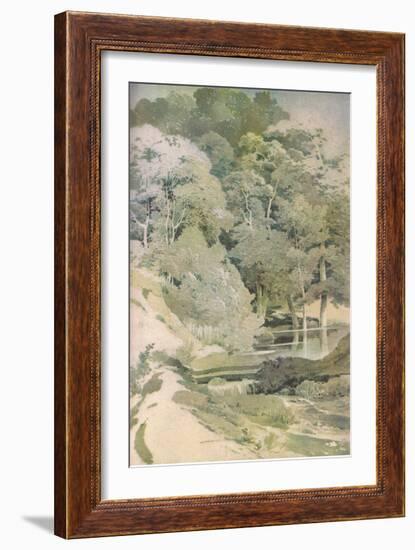 Ancient Beech in Windsor Forest, Nature in Britain Published by Collins, 1946 (Colour Litho)-Paul Sandby-Framed Giclee Print