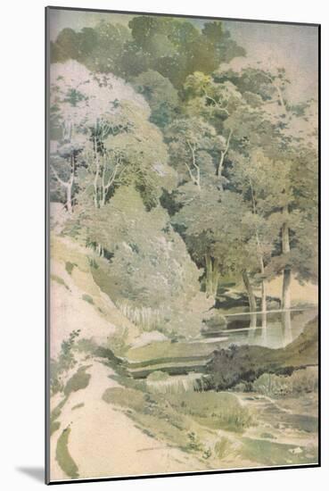 Ancient Beech in Windsor Forest, Nature in Britain Published by Collins, 1946 (Colour Litho)-Paul Sandby-Mounted Giclee Print