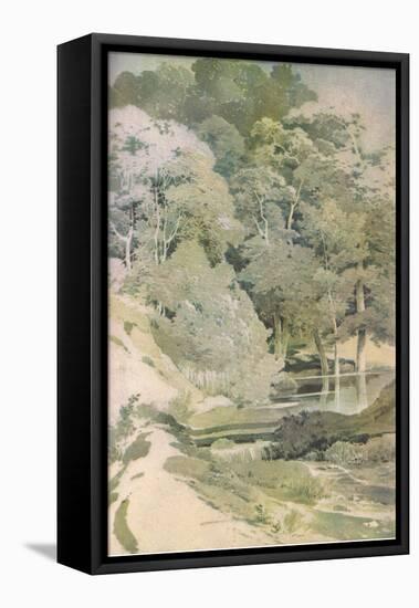 Ancient Beech in Windsor Forest, Nature in Britain Published by Collins, 1946 (Colour Litho)-Paul Sandby-Framed Premier Image Canvas