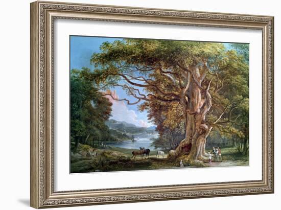 Ancient Beech Tree, 1794-Paul Sandby-Framed Giclee Print