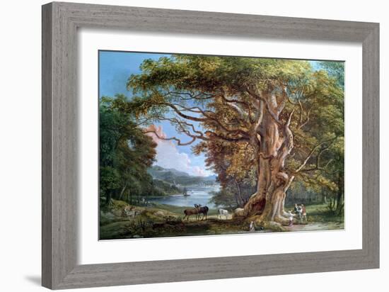 Ancient Beech Tree, 1794-Paul Sandby-Framed Giclee Print