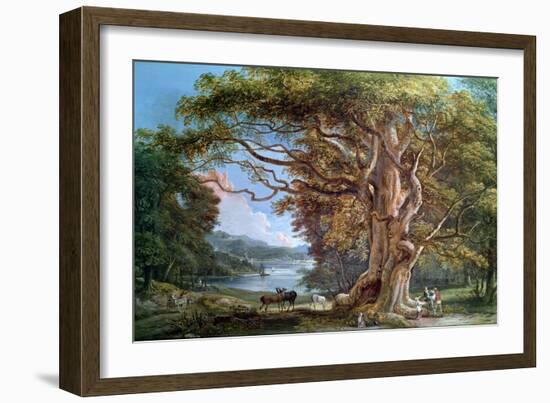 Ancient Beech Tree, 1794-Paul Sandby-Framed Giclee Print