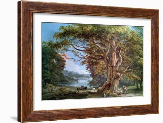 Ancient Beech Tree, 1794-Paul Sandby-Framed Giclee Print