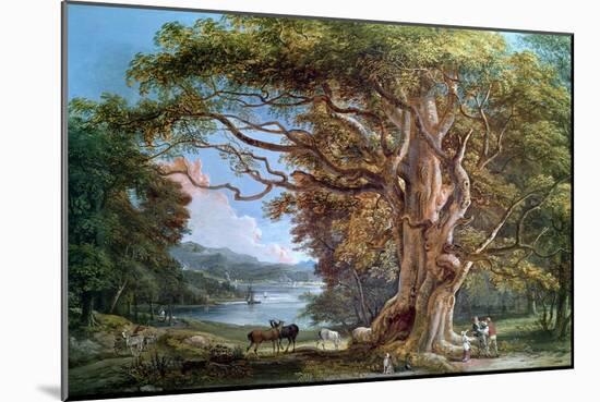 Ancient Beech Tree, 1794-Paul Sandby-Mounted Giclee Print