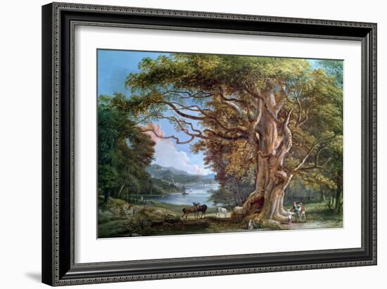 Ancient Beech Tree, 1794-Paul Sandby-Framed Giclee Print