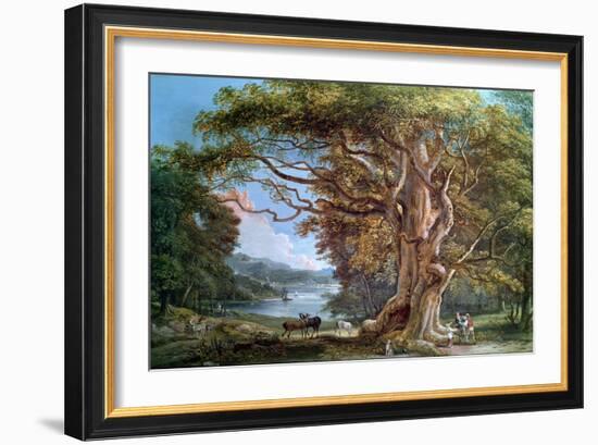 Ancient Beech Tree, 1794-Paul Sandby-Framed Giclee Print