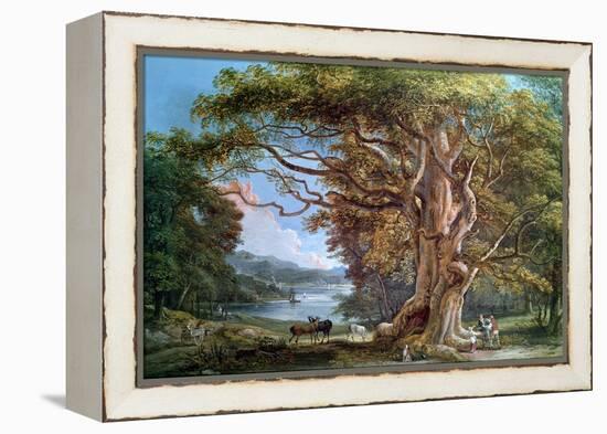 Ancient Beech Tree, 1794-Paul Sandby-Framed Premier Image Canvas