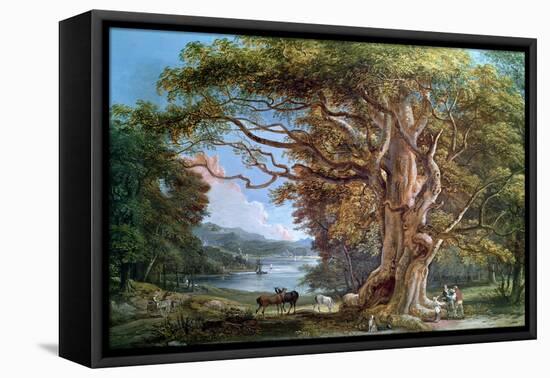 Ancient Beech Tree, 1794-Paul Sandby-Framed Premier Image Canvas