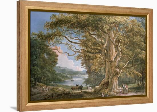 Ancient Beech Tree-Paul Sandby-Framed Premier Image Canvas