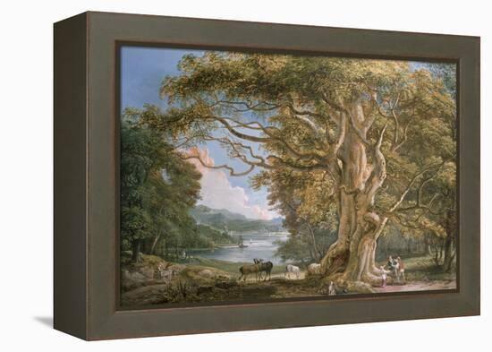 Ancient Beech Tree-Paul Sandby-Framed Premier Image Canvas