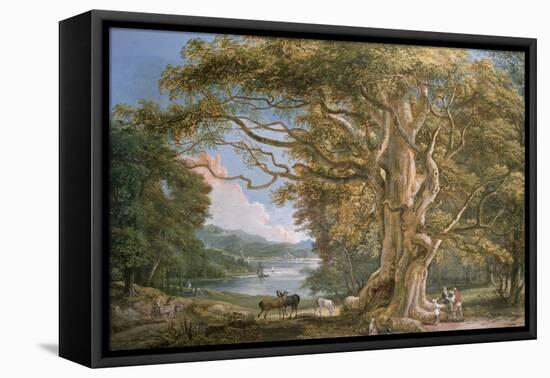 Ancient Beech Tree-Paul Sandby-Framed Premier Image Canvas