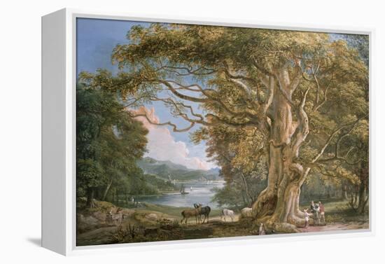 Ancient Beech Tree-Paul Sandby-Framed Premier Image Canvas