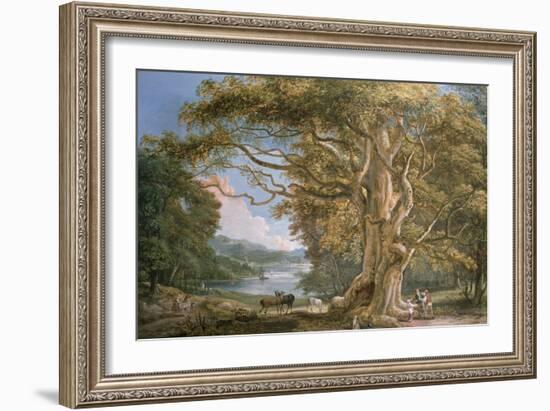 Ancient Beech Tree-Paul Sandby-Framed Giclee Print