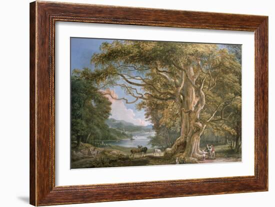 Ancient Beech Tree-Paul Sandby-Framed Giclee Print