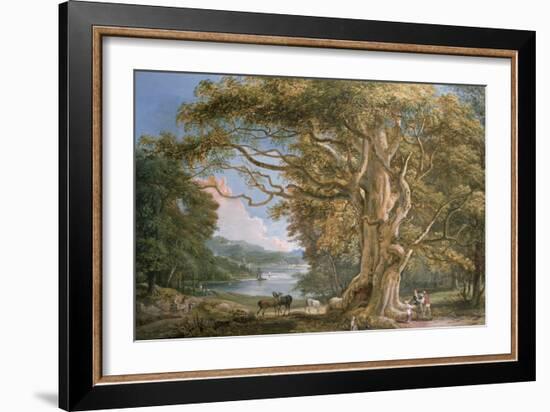 Ancient Beech Tree-Paul Sandby-Framed Giclee Print