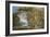 Ancient Beech Tree-Paul Sandby-Framed Giclee Print