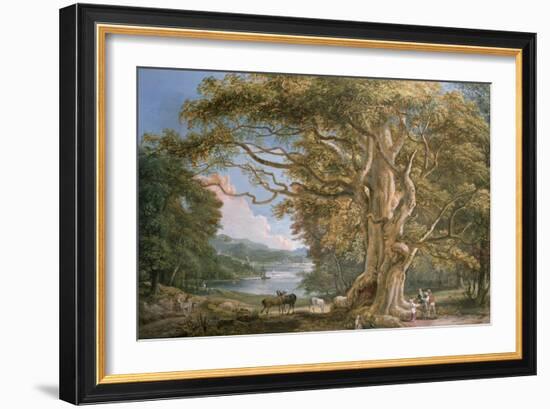 Ancient Beech Tree-Paul Sandby-Framed Giclee Print