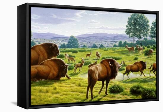 Ancient Bison-Mauricio Anton-Framed Premier Image Canvas