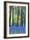 Ancient Bluebell Woodland in Spring-Alex Robinson-Framed Premium Photographic Print