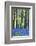 Ancient Bluebell Woodland in Spring-Alex Robinson-Framed Photographic Print